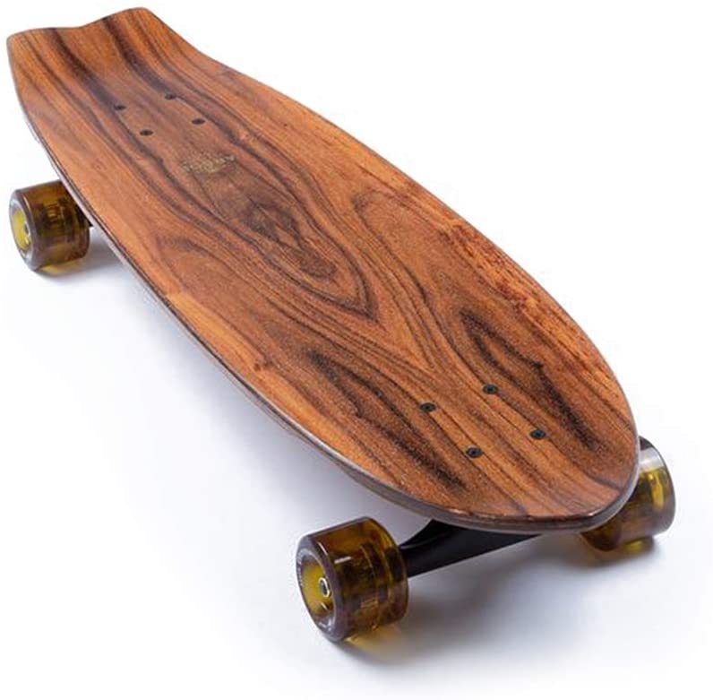 Arbor Collective Sizzler Flagship Complete Skateboard/Longboard