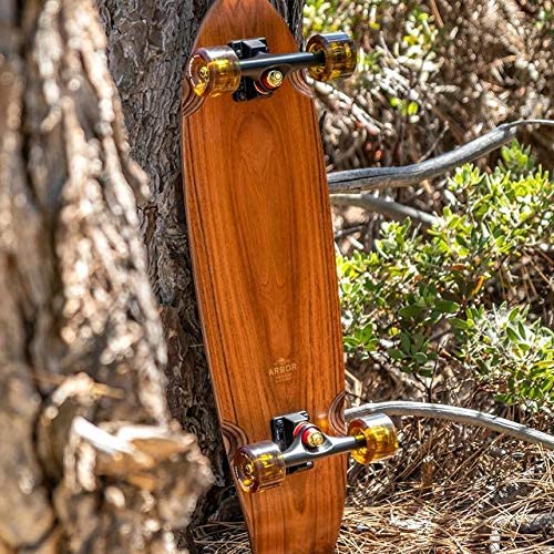 Arbor Collective Sizzler Flagship Complete Skateboard/Longboard